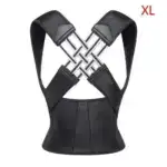 Flexible Back Support Belt for Office, Home, and Gym