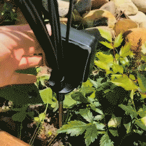 Solar Firefly Lights
