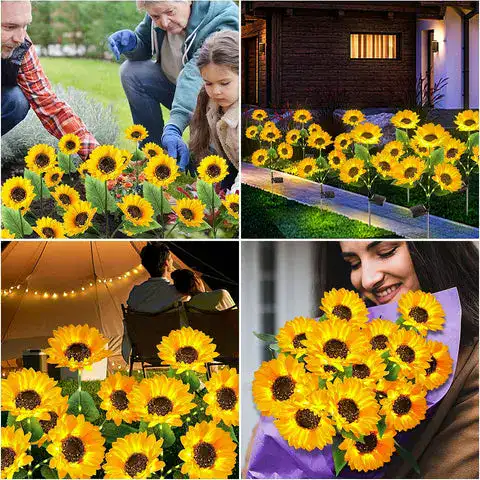 Sunflower Details